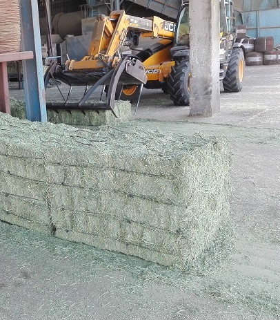 Process of Haymaking